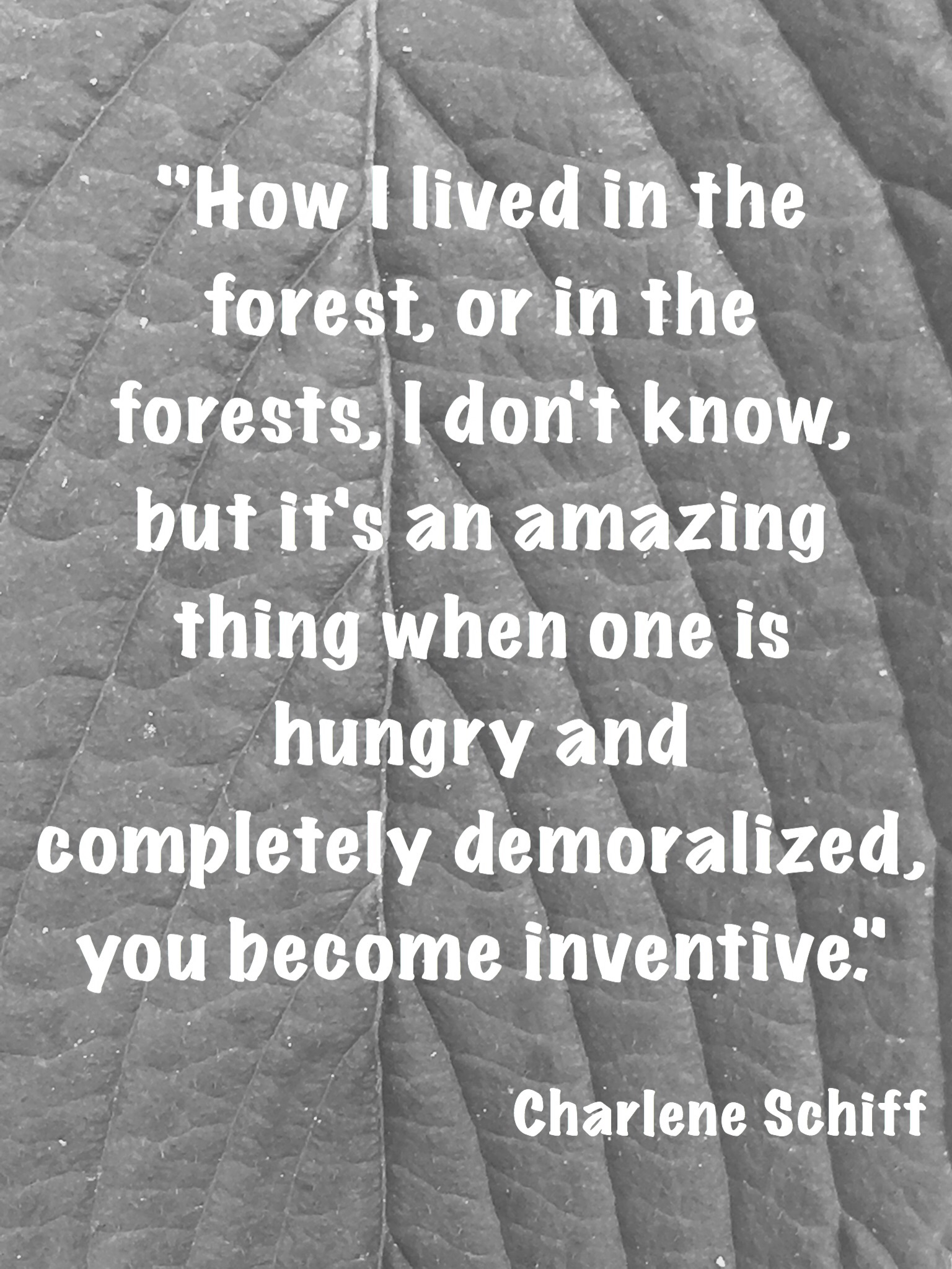 Here's a caption on a left-aligned image